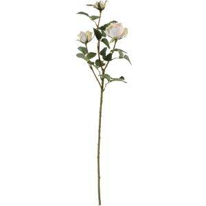 Rose Adélaïde 3 tiges blanche H68cm