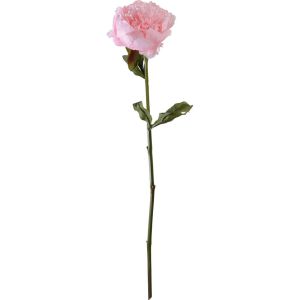 Pivoine rose clair H 50cm