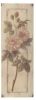 Toile Fleurs Roses Oranges Antic line