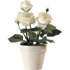 Rose Séraphine crème en pot H32 cm