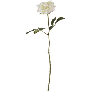 Rose Constance blanche H47cm