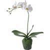 Orchidée blanche 1 tige en motte H66,5cm