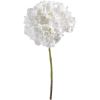 Hortensia blanc H90cm Artempo