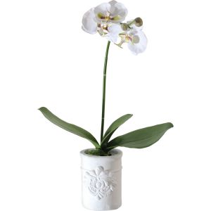 Orchidée blanche en pot H50cm