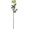 Rose Coco vert clair H81cm
