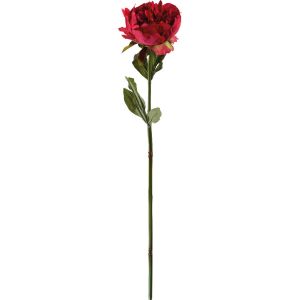 Pivoine rouge H 50cm