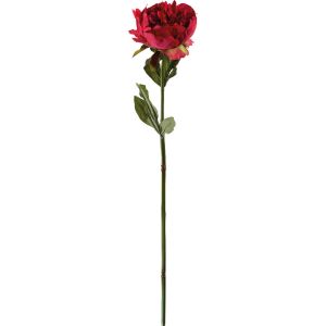 Pivoine rouge H 50cm