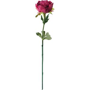 Pivoine rose H 50cm