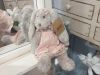 Lapin robe rose