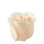 Bouquet de roses nude Mathilde M
