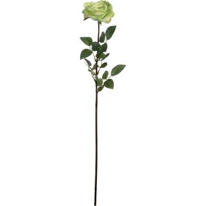 Rose Coco vert clair H81cm