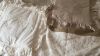 Coussin beige collection "Windsor" Blanc Mariclo