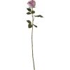 Rose Tamara rose H66cm