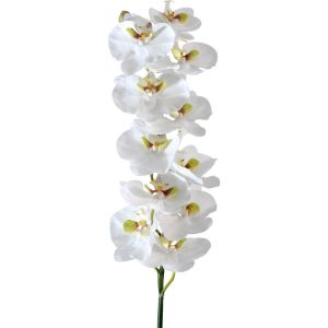 Orchidée blanche 1 tige 90cm