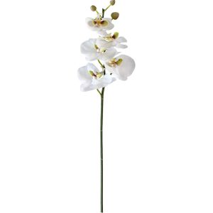 Orchidée blanche 1 tige 52cm