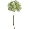 Hortensia vert bleu H45cm