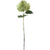 Hortensia vert bleu H45cm