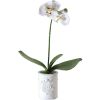 Orchidée blanche en pot H50cm
