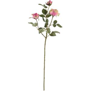Rose Adélaïde 3 tiges rose verte H68cm