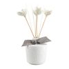 Diffuseur de parfum Palazzo Bello Fleur de coton  Mathilde M
